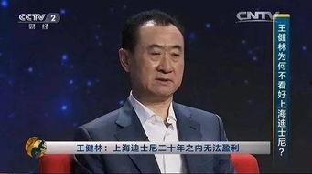 台湾娱乐老板,揭秘娱乐老板的传奇人生
