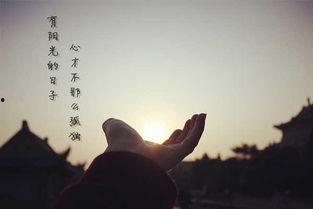 不期而遇 图片,不期而遇的视觉奇遇