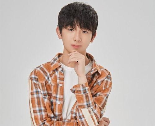 扮演黄歇的演员是谁,揭秘扮演这位历史名臣的璀璨明星